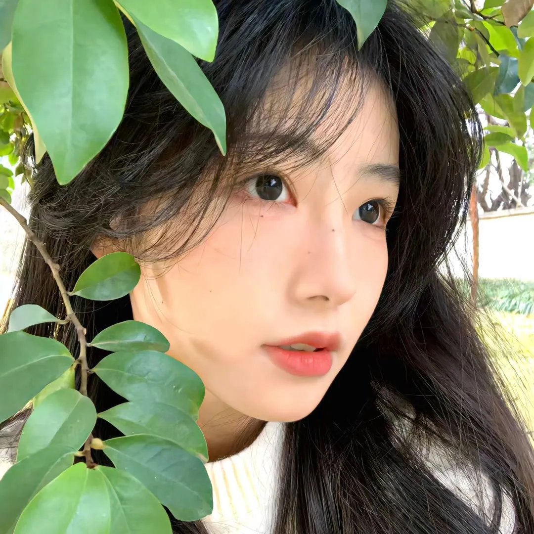 悬案追凶