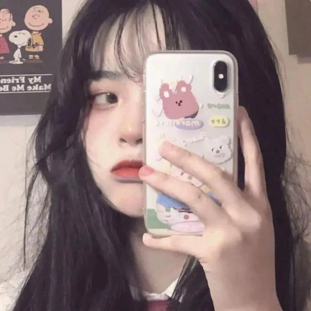 菊石